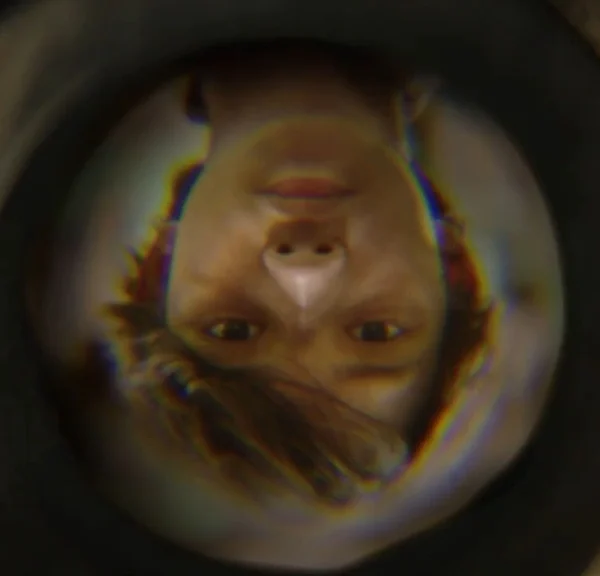 1 an et 7 mois d'attente pour voir la fin de cette série épique sur Netflix : les derniers épisodes arrivent en août 2026