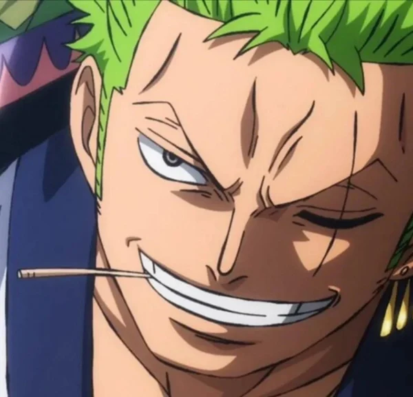 One Piece : Zoro se voit enfin offrir une histoire plus étoffée après plus de 28 ans, mais pas en manga, ni anime