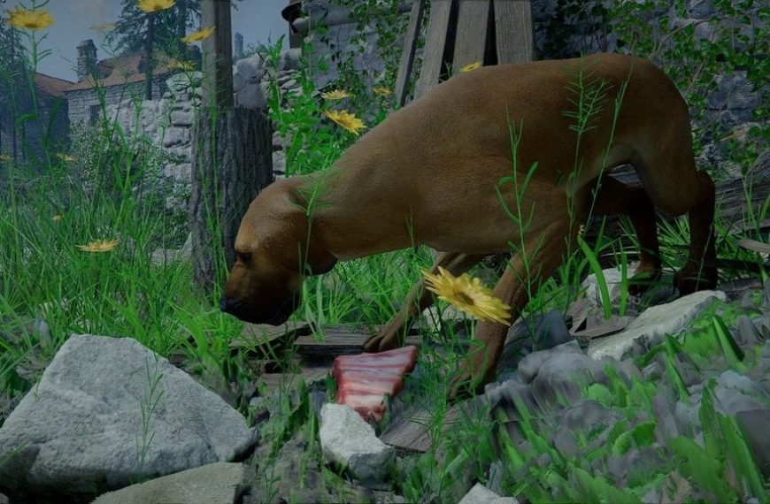 Des crocs sans maître Crimson Desert : comment emmener le chien sans maître ?