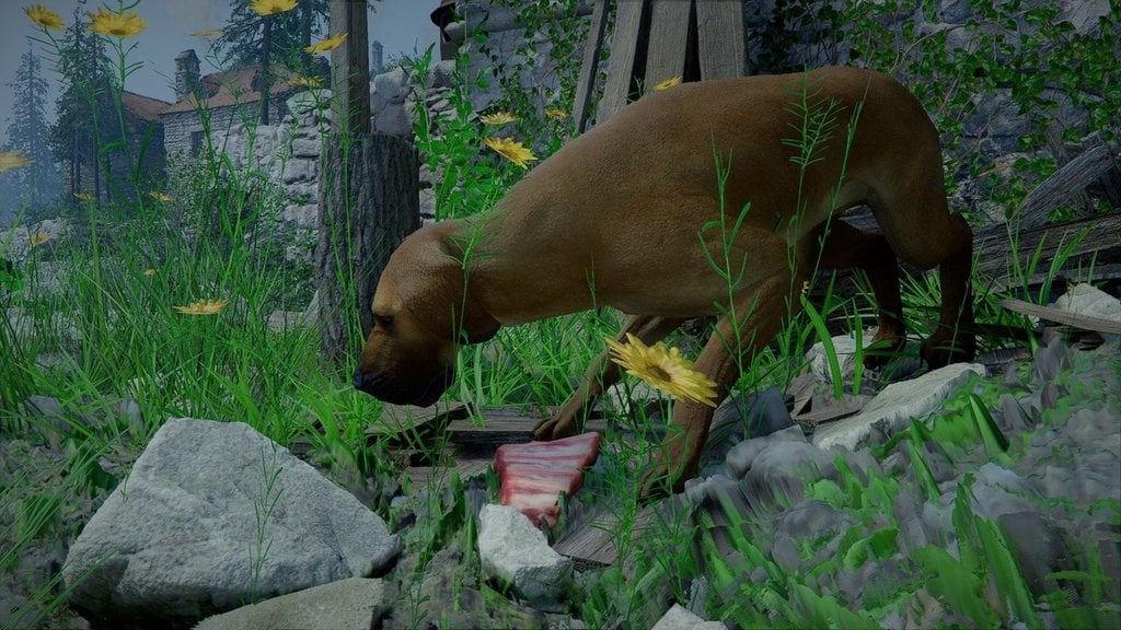 Des crocs sans maître Crimson Desert : comment emmener le chien sans maître ?