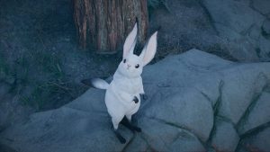 Choppy Crimson Desert : comment adopter cet animal des abysses ?
