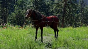 Camora Crimson Desert : comment obtenir cette monture légendaire ?