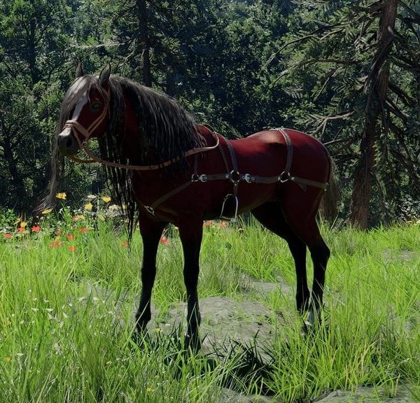 Camora Crimson Desert : comment obtenir cette monture légendaire ?