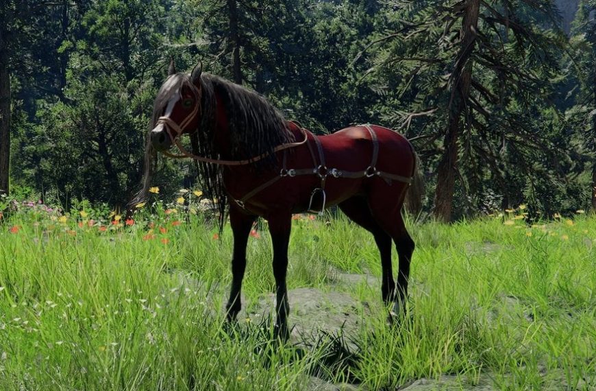 Camora Crimson Desert : comment obtenir cette monture légendaire ?