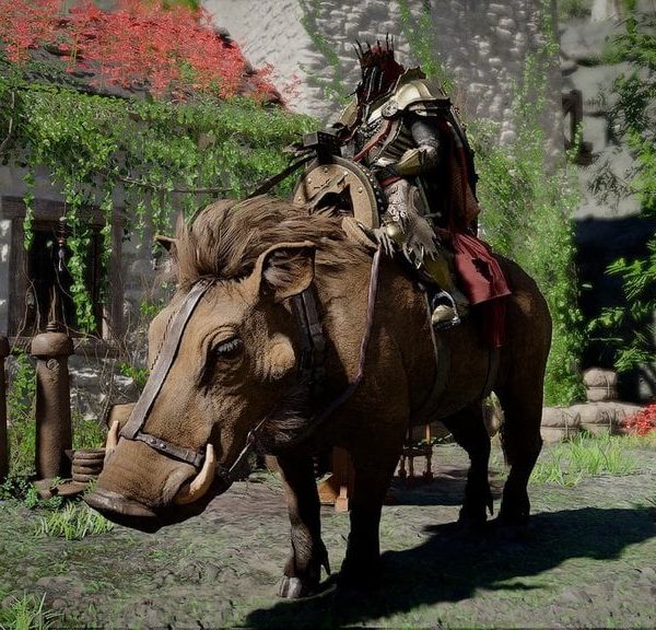 Phacochère Crimson Desert : comment obtenir le sanglier légendaire ?