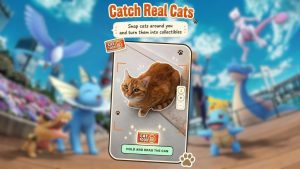 Comme Pokémon GO, ce jeu gratuit vous laisse collecter de vrais chats !