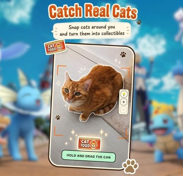 Comme Pokémon GO, ce jeu gratuit vous laisse collecter de vrais chats !