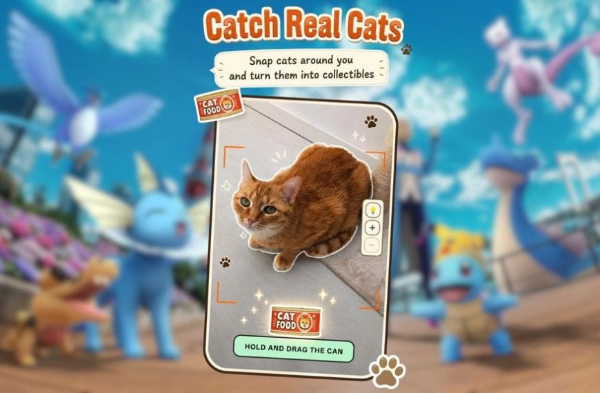 Comme Pokémon GO, ce jeu gratuit vous laisse collecter de vrais chats !