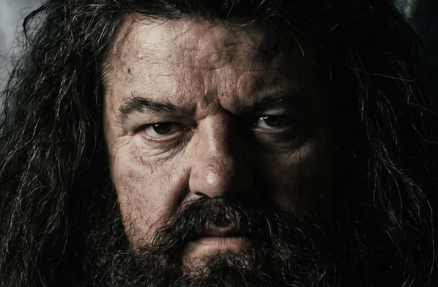 Série Harry Potter : Hagrid va devenir beaucoup plus violent que prévu, selon son acteur