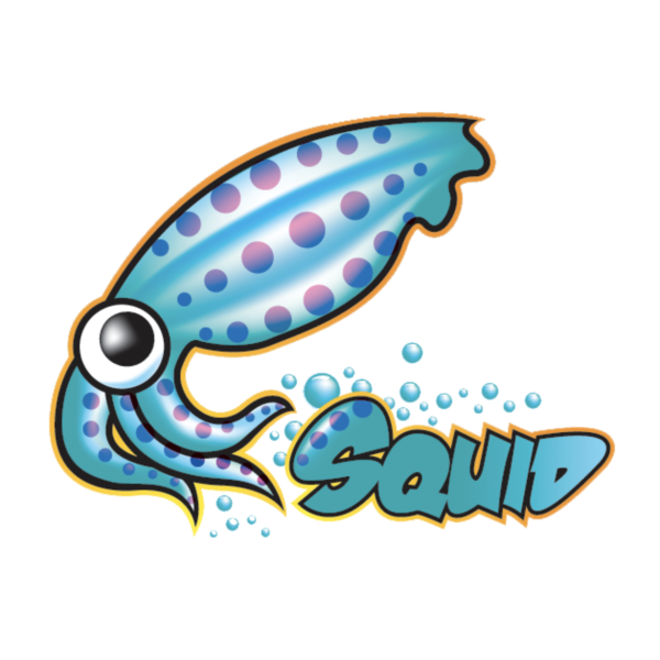 Squidbleed : une fuite mémoire passée inaperçue pendant 30 ans