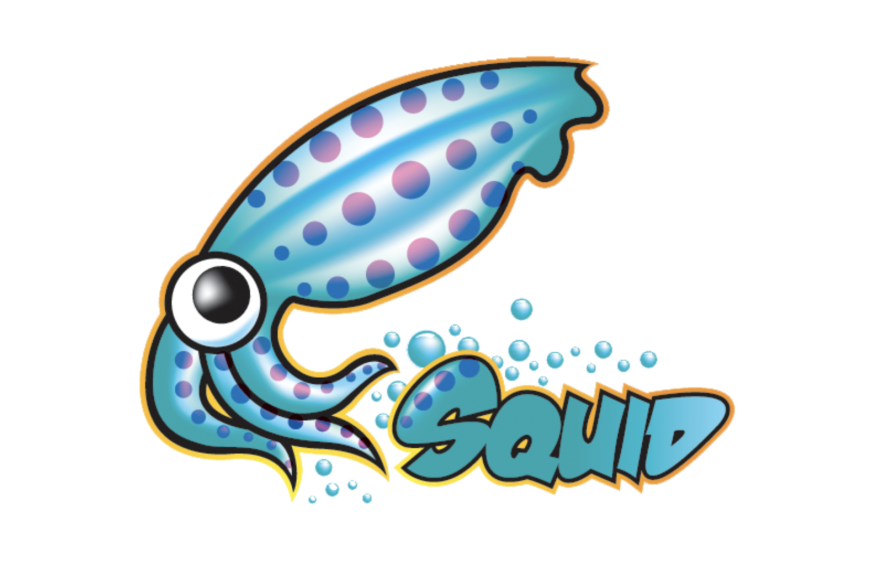 Squidbleed : une fuite mémoire passée inaperçue pendant 30 ans
