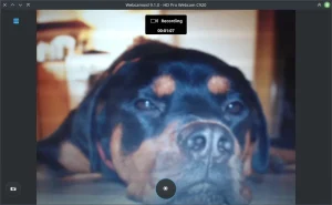 Webcamoid, ou comment fabriquer une fausse webcam sous Linux sans toucher à une ligne de commande
