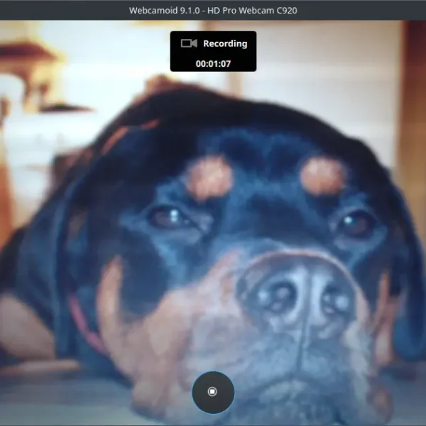 Webcamoid, ou comment fabriquer une fausse webcam sous Linux sans toucher à une ligne de commande