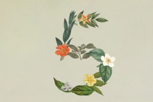 Avec Claude Sonnet 5, Anthropic muscle son modèle médian pour le code et la sécurité 