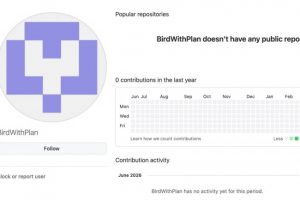 Les API publiques de GitHub détournées pour cartographier les logiciels d'entreprise