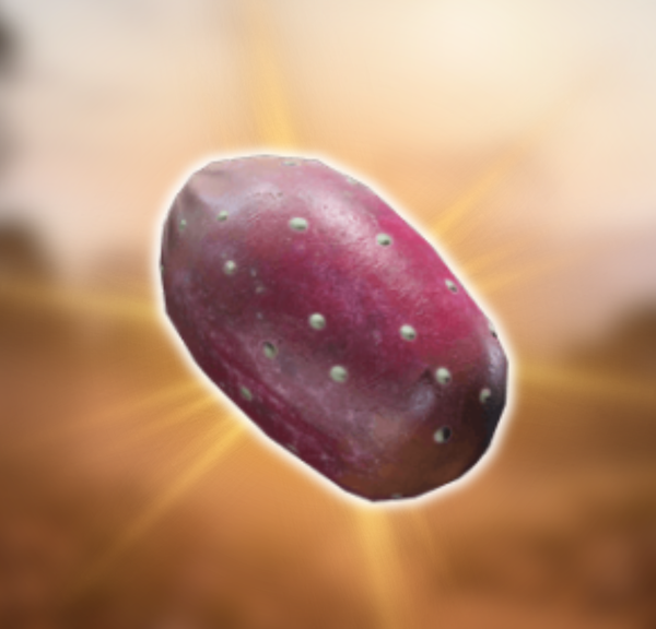 Prickly Pears ARC Raiders : où le trouver pour améliorer Coquillard ?
