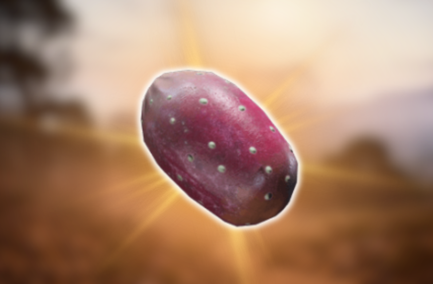 Prickly Pears ARC Raiders : où le trouver pour améliorer Coquillard ?