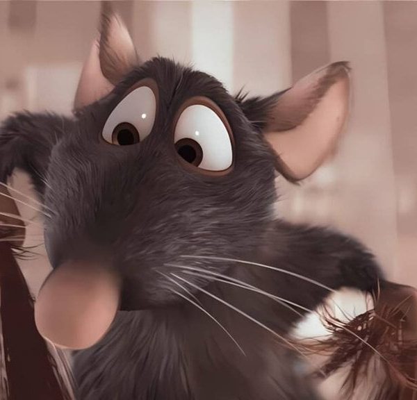 Le héros de « Ratatouille » souhaite tourner une suite, mais à une seule condition pour Pixar : « Qu'elle ait l'énergie de Terminator 2»