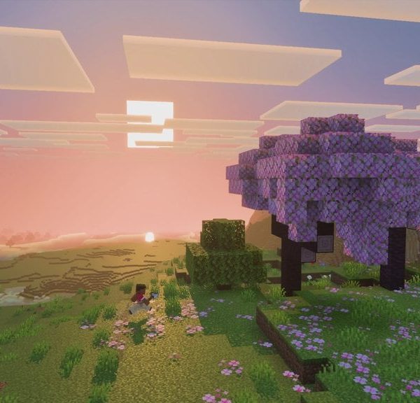 17 ans d'attente : Minecraft vous permet enfin d'effectuer l'action la plus bête qui soit…