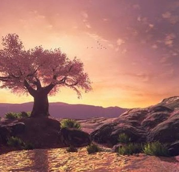 Le meilleur endroit de Zelda Breath of the Wild cache un hommage émouvant a une personnalité incontournable du jeu vidéo…