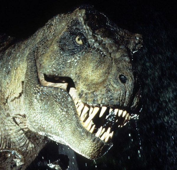 « Je n'ai pas honte de le dire » : selon Steven Spielberg, « Jurassic Park » est la suite secrète de l'un des meilleurs films de monstres de tous les temps