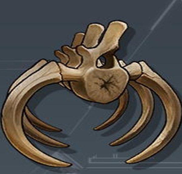 Ossement Antique Palworld : Où trouver cette ressource de craft ?
