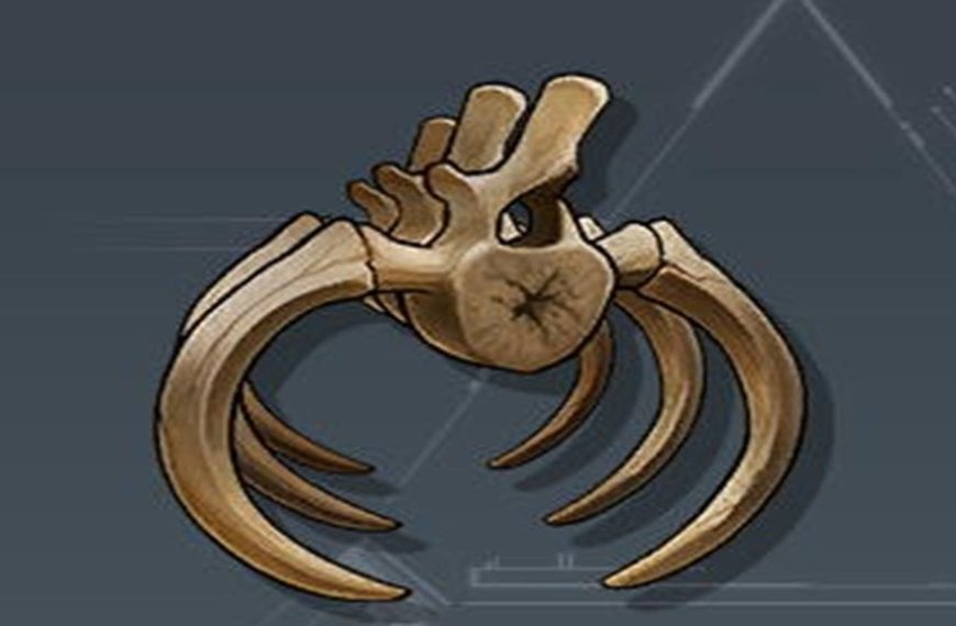 Ossement Antique Palworld : Où trouver cette ressource de craft ?
