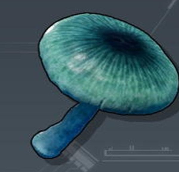 Champignon étrange Palworld 1.0 : Où trouver cette ressource, à quoi sert-elle ?