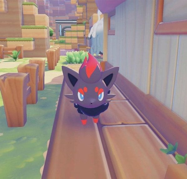Camoufilage avec Zorua Pokémon Pokopia : Comment finir cet événement ?