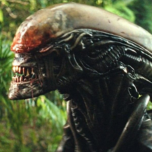 Alien Earth saison 2 : Disney+ frappe fort, plusieurs stars de Game of Thrones au casting