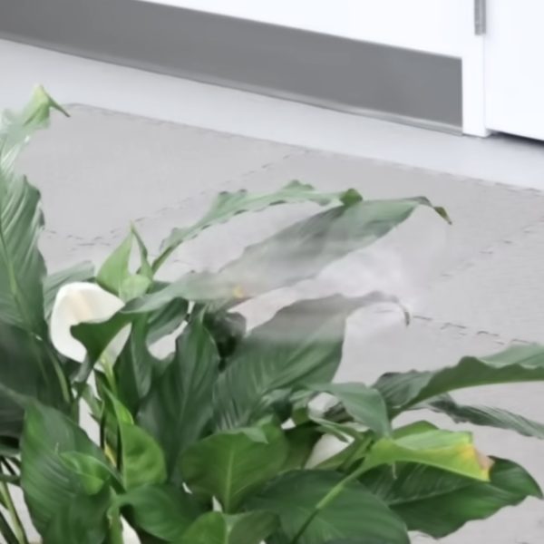 Ce drone tourne si vite sur lui-même qu'il devient presque invisible
