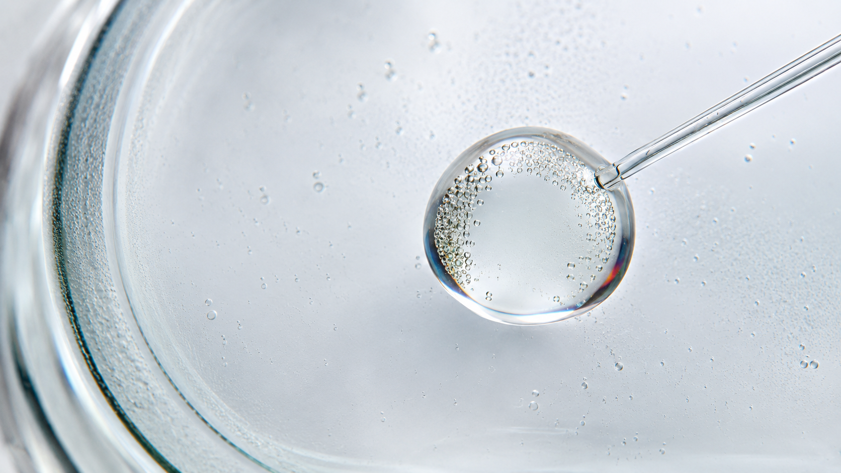 SpudCell – La première cellule artificielle complète