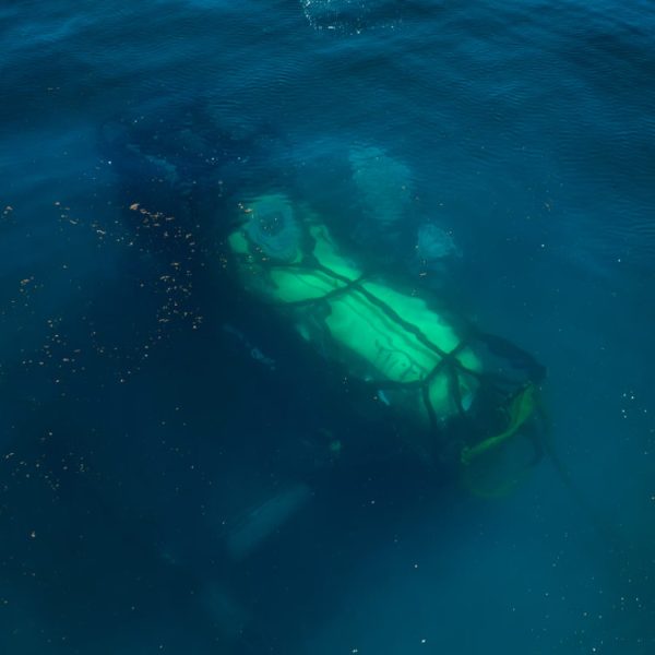 Cette “maison” permet de vivre sous l’eau pendant plusieurs jours, bientôt une ville sous-marine à la Atlantis ?
