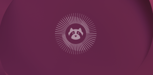 Ubuntu 26.04 planque ses mises à jour (et c'est fait exprès)