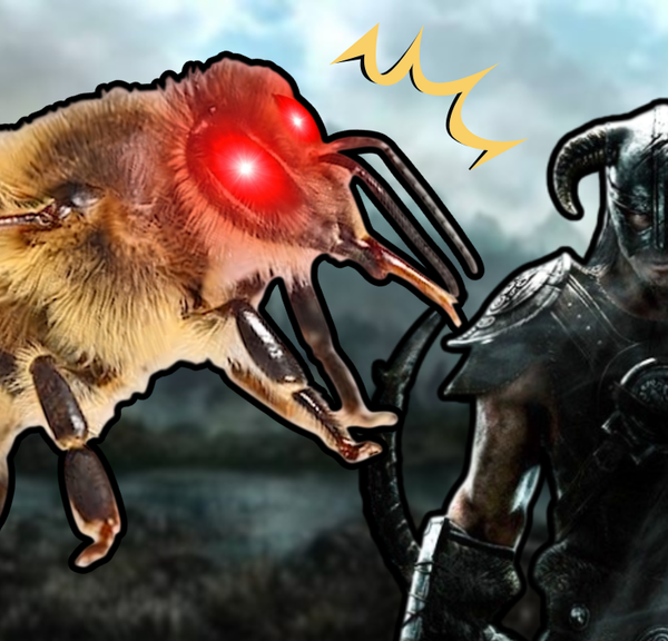 Comment une simple petite abeille a gâché la scène la plus culte de Skyrim