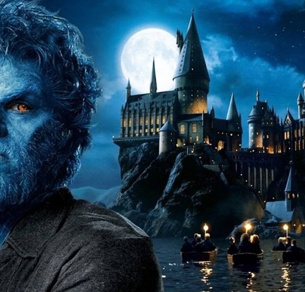 Il voulait jouer dans les films Harry Potter il y a plus de 20 ans : ce X-Men jouera dans la série HBO