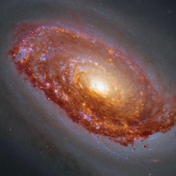 L’Œil noir : le travail d’équipe de Hubble et James Webb offre un regard inédit sur cette galaxie intrigante