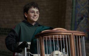 Harry Potter : cet acteur incontournable de Game of Thrones rejoint le casting de la série HBO