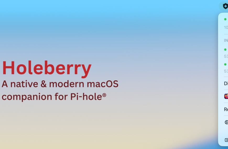 Holeberry – Le Pi-hole dans la barre de menus du Mac