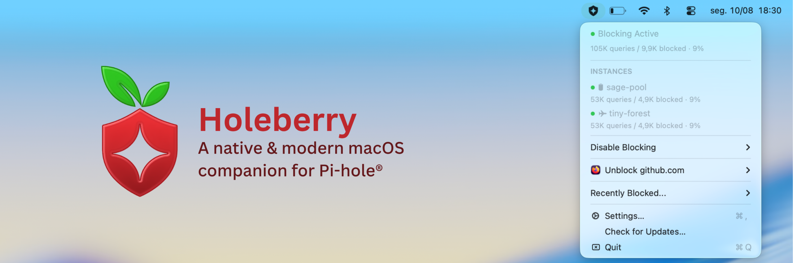 Holeberry – Le Pi-hole dans la barre de menus du Mac
