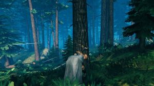 Bois robuste Valheim : Où en trouver ?