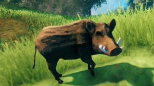 Sanglier Valheim 1.0 : Où trouver cet animal et comment en faire l'élevage ?