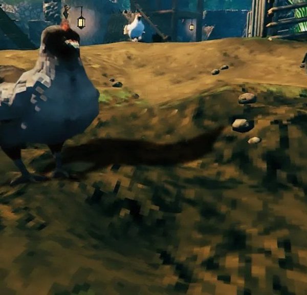Poulet Valheim 1.0 : Comment obtenir des œufs et les élever ?
