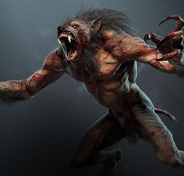 Loup garou The Witcher 3 : Où en trouver un rapidement et comment le tuer ?