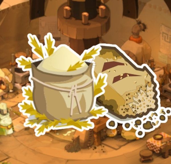 Il a revendu son compte Dofus pour financer le lancement de sa boulangerie