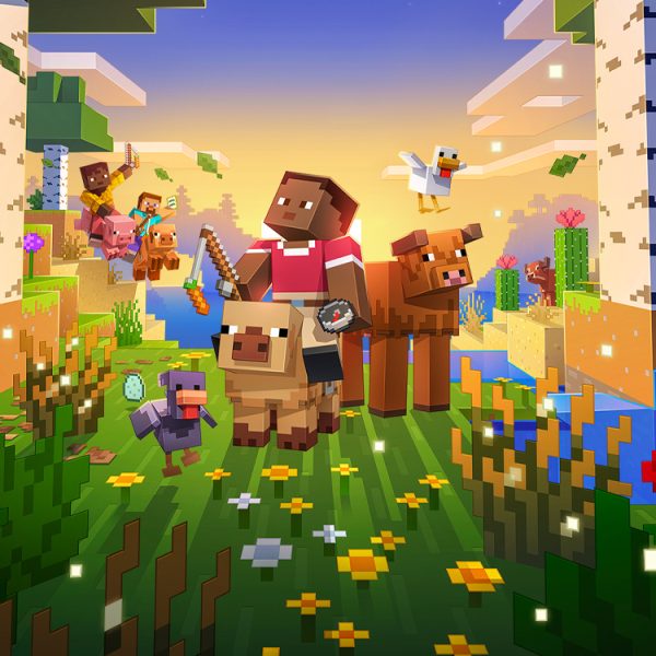 Un Youtubeur Minecraft de 9 ans dépense 118 000 $ pour faire la publicité de ses vidéos, son père prend le contrôle de la chaîne