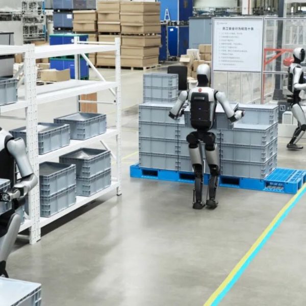 Des robots fabriquent des robots dans cette usine chinoise, au rythme d’un toutes les dix minutes