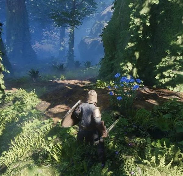 Lin Enshrouded 1.0 : Où trouver cette ressource ?