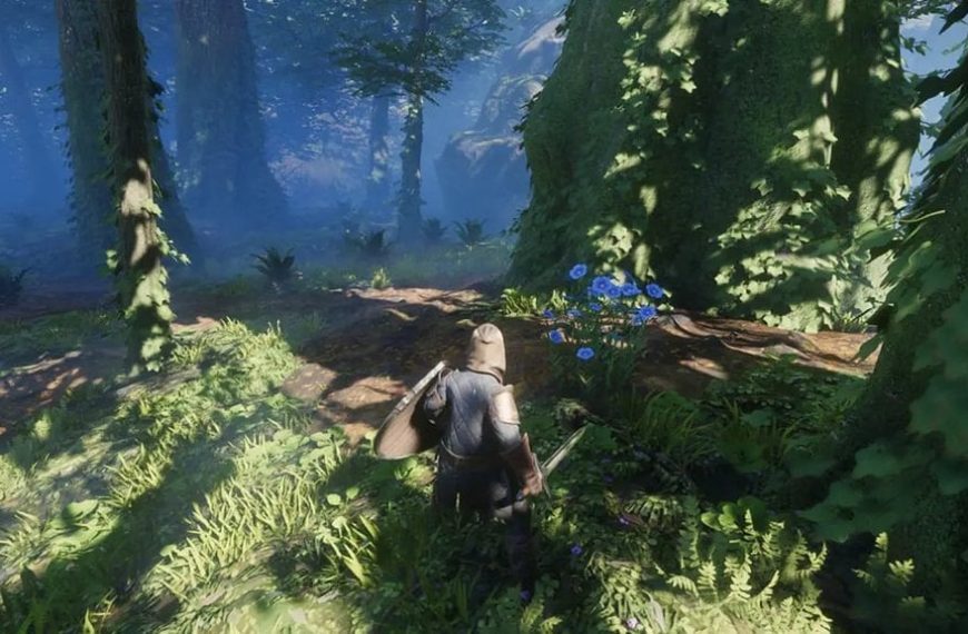 Lin Enshrouded 1.0 : Où trouver cette ressource ?