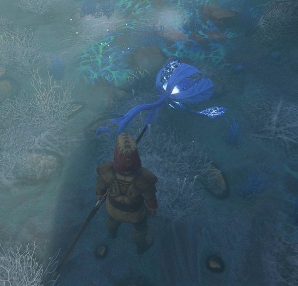 Sac de brume Enshrouded 1.0 : Où en trouver ?